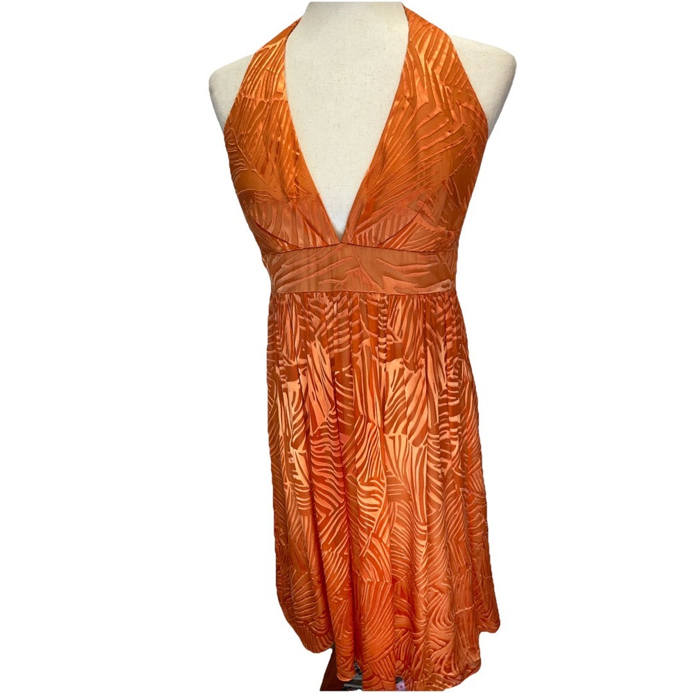 Kay Unger New York Orange V-Neck Dress With Floral Embroidery, Size 4